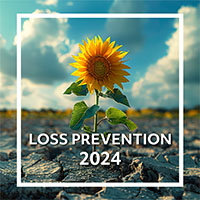 sunflower growing out of dry ground - loss prevention 2024